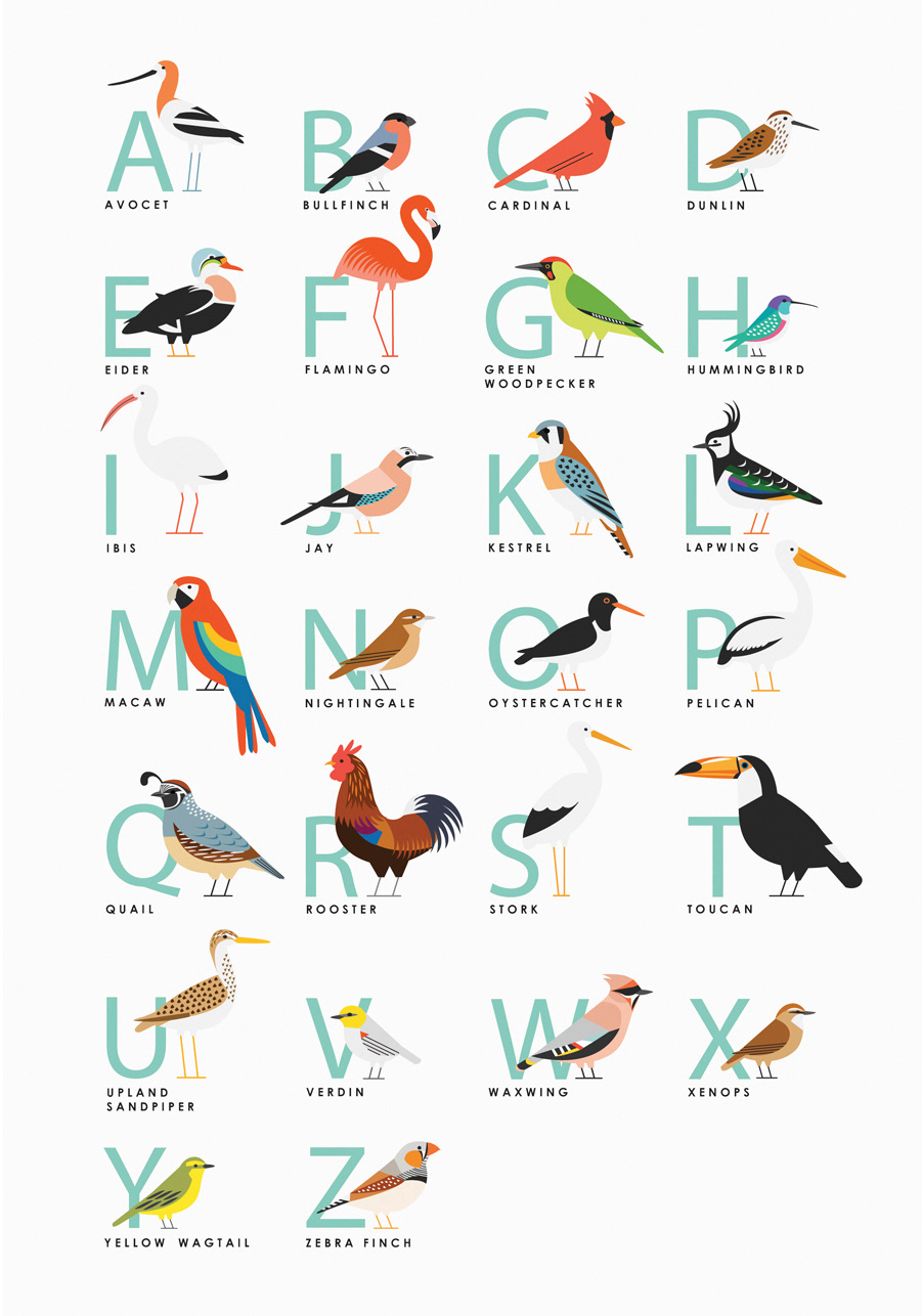 Bird Starts With S Letters Bird Starts With S Letters